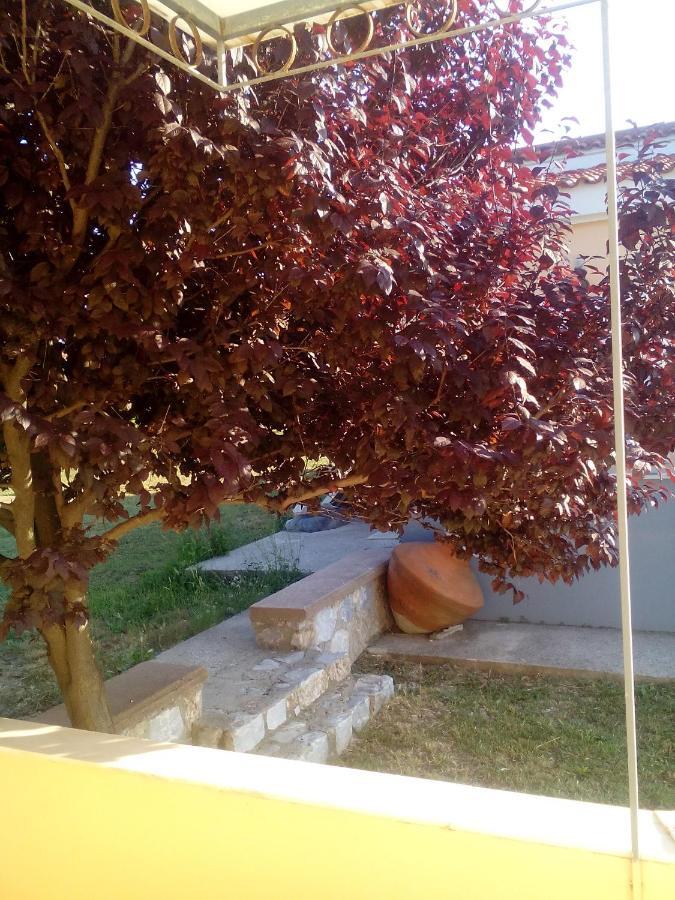 Studios Στουσ Πυργουσ Θερμησ Mytilíni Exteriör bild